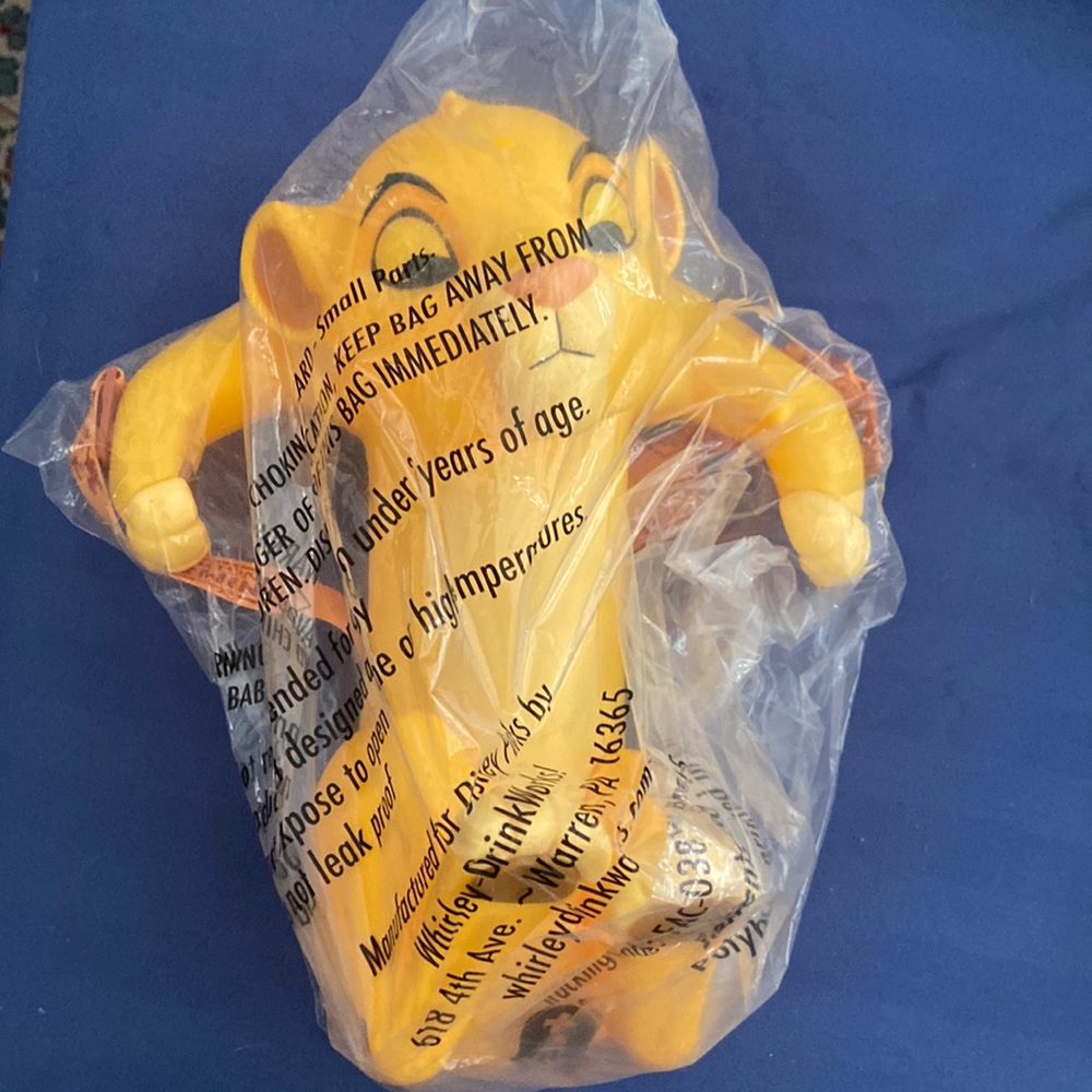 Disney Animal Kingdom Popcorn Bucket (new in plastic, never opened)